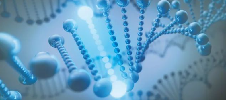 什么是单基因遗传疾病筛查