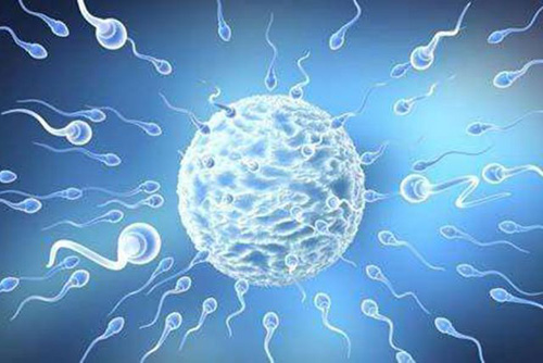 输卵管堵塞的大龄女性做一代试管婴儿成功率高吗？