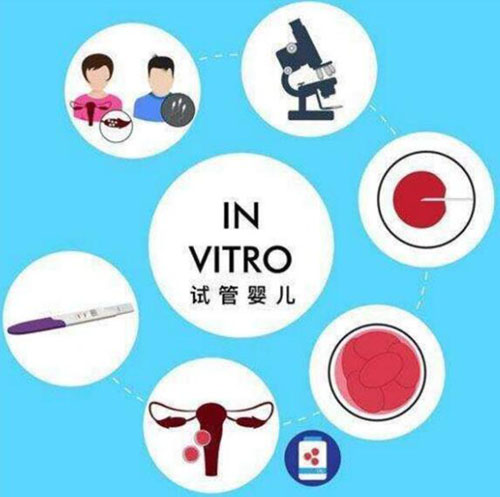 美国试管婴儿检查