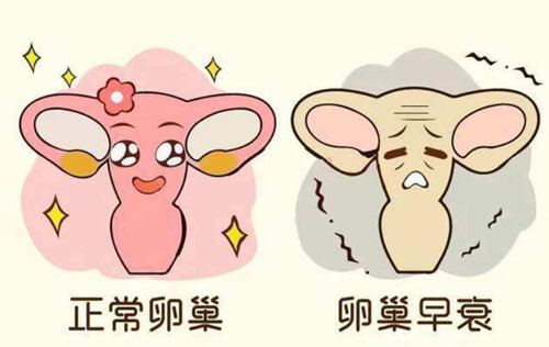 美国试管卵巢早衰