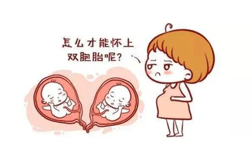 美国试管婴儿