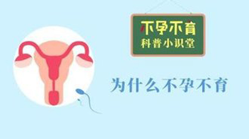 不育不孕