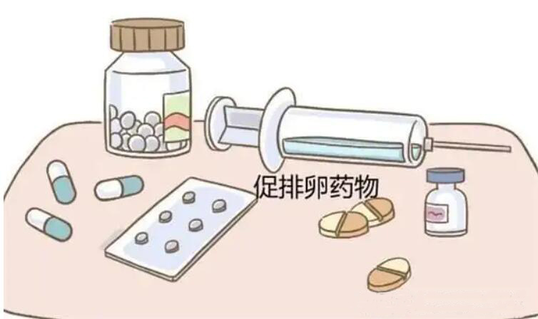 试管婴儿促排卵药