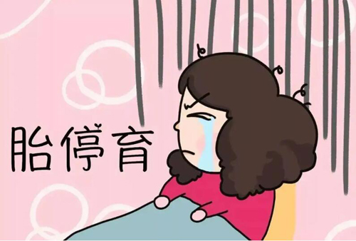 美国试管婴儿