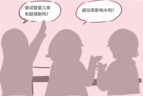 高龄试管婴儿成功率