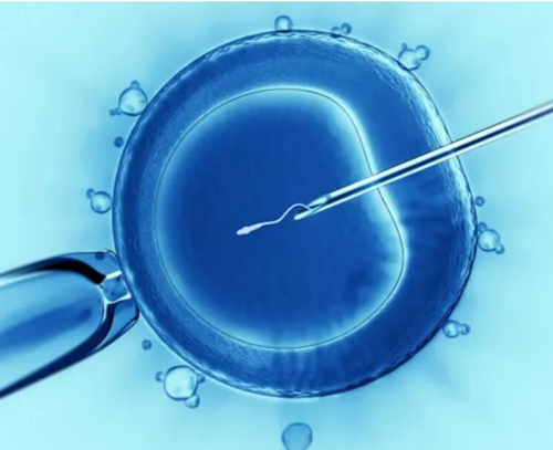 试管受精（IVF）失败后再次收费的费用：深入探讨 (试管受精成功说明什么)
