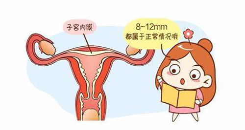 美国试管婴儿成功率