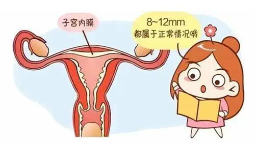 美国试管婴儿子宫内膜