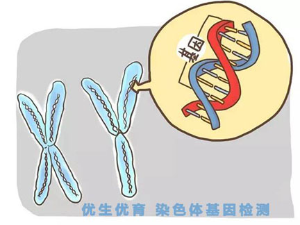 美国试管婴儿染色体异常
